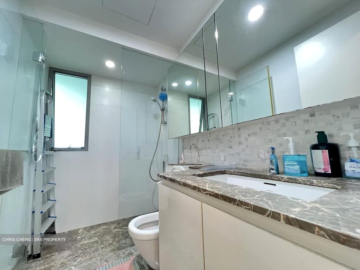The Minton (D19), Condominium #608132471
